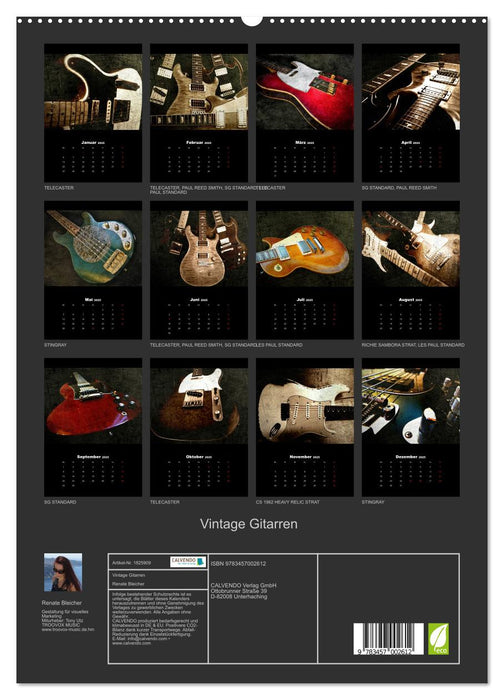 Vintage Gitarren (CALVENDO Premium Wandkalender 2025)