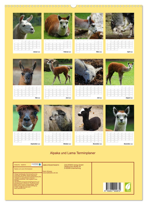 Alpaka und Lama Terminplaner (CALVENDO Premium Wandkalender 2025)