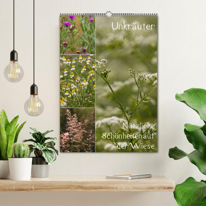 Unkräuter – Nützliche Schönheiten auf der Wiese (CALVENDO Wandkalender 2025)