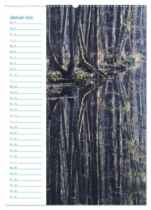 Wunderbarer Spreewald (CALVENDO Premium Wandkalender 2025)