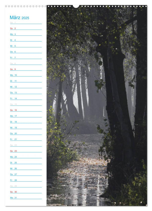 Wunderbarer Spreewald (CALVENDO Premium Wandkalender 2025)