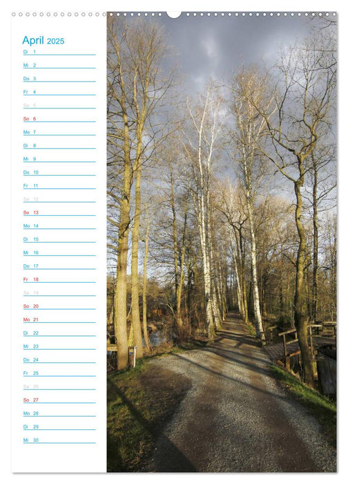 Wunderbarer Spreewald (CALVENDO Premium Wandkalender 2025)