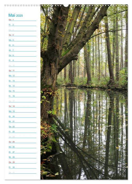 Wunderbarer Spreewald (CALVENDO Premium Wandkalender 2025)