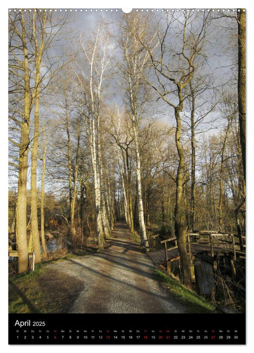 Wunderbarer Spreewald (CALVENDO Premium Wandkalender 2025)