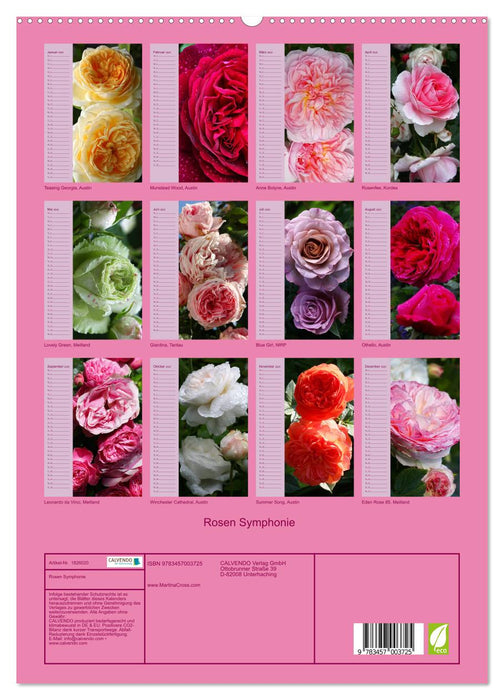 Rosen Symphonie (CALVENDO Premium Wandkalender 2025)