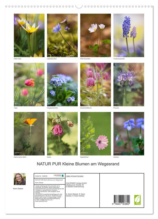 NATUR PUR Kleine Blumen am Wegesrand (CALVENDO Premium Wandkalender 2025)