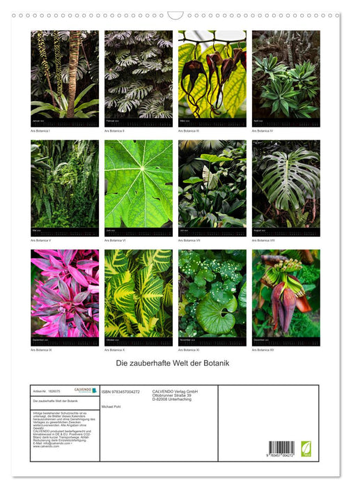 Die zauberhafte Welt der Botanik (CALVENDO Wandkalender 2025)