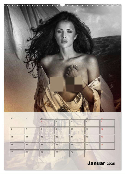 Erotik. Sinnliche Faszination (CALVENDO Premium Wandkalender 2025)