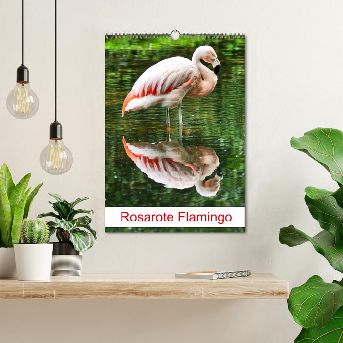 Rosarote Flamingo (CALVENDO Wandkalender 2025)