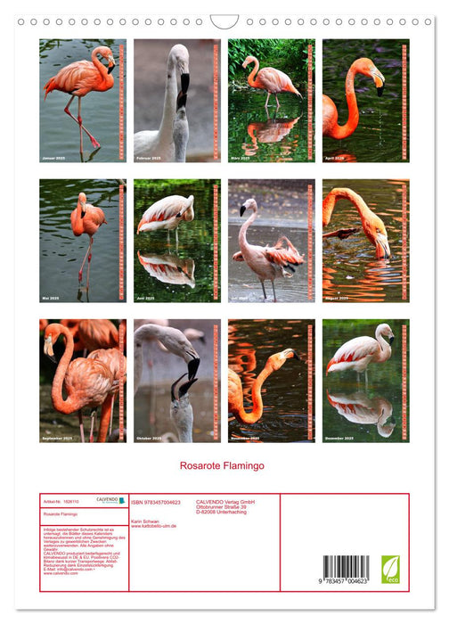 Rosarote Flamingo (CALVENDO Wandkalender 2025)