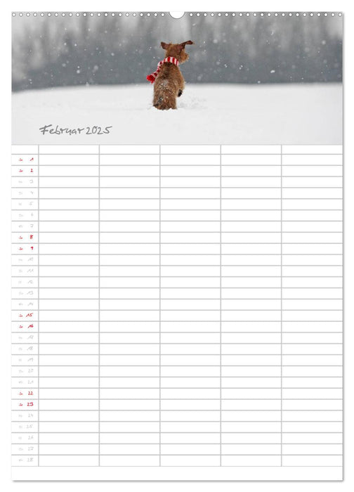 Hundeplaner für wichtige Ereignisse (CALVENDO Premium Wandkalender 2025)