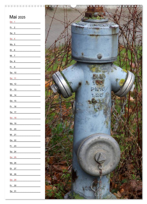 Nostalgie Hydranten (CALVENDO Premium Wandkalender 2025)