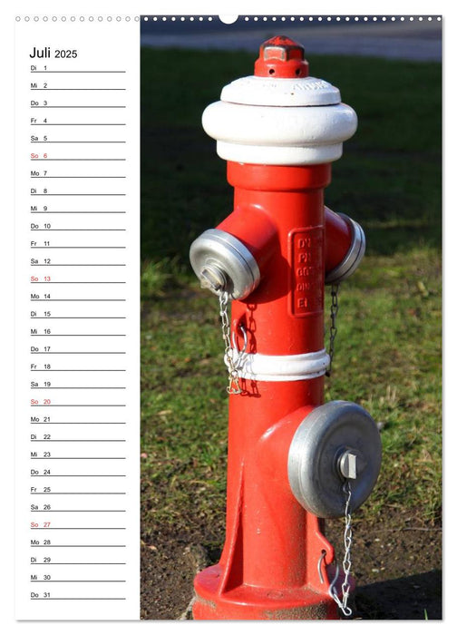Nostalgie Hydranten (CALVENDO Premium Wandkalender 2025)