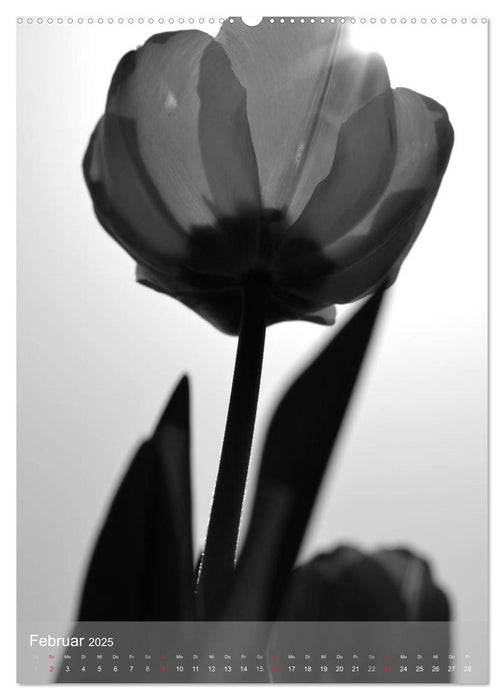 Monochrome Blüten - In Schwarz-Weiß Bildern durch das Jahr (CALVENDO Premium Wandkalender 2025)