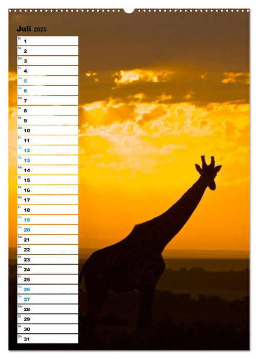 Giraffen - Die Grazien in Afrikas Savannen (CALVENDO Premium Wandkalender 2025)