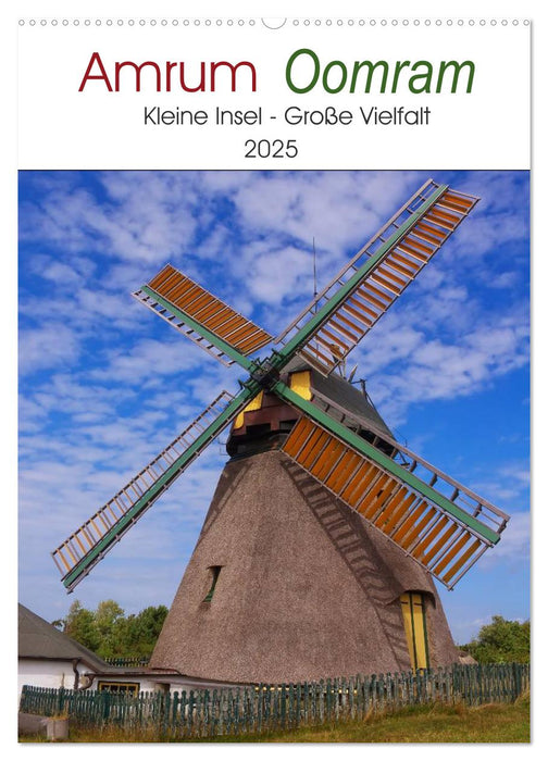 Amrum - Oomram, Kleine Insel - Große Vielfalt (CALVENDO Wandkalender 2025)