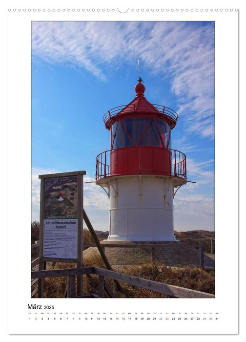 Amrum - Oomram, Kleine Insel - Große Vielfalt (CALVENDO Wandkalender 2025)