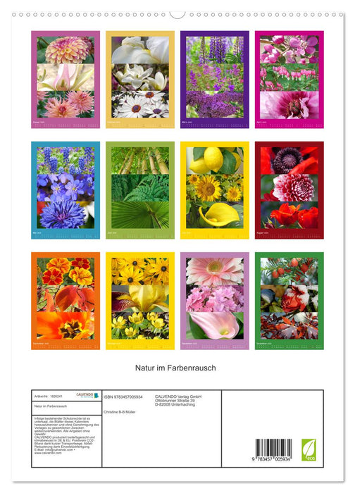 Natur im Farbenrausch (CALVENDO Premium Wandkalender 2025)