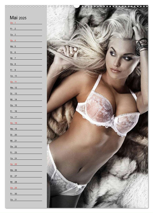 Erotik. Dessous-Träume (CALVENDO Premium Wandkalender 2025)