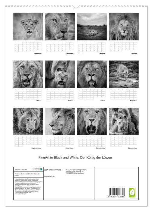 FineArt in Black and White: Der König der Löwen (CALVENDO Premium Wandkalender 2025)