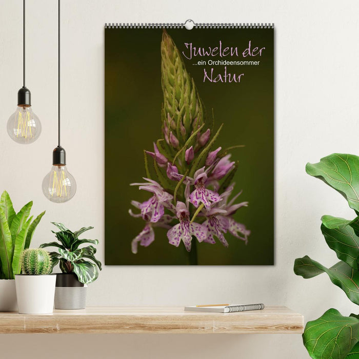 Juwelen der Natur - Ein Orchideensommer (CALVENDO Wandkalender 2025)