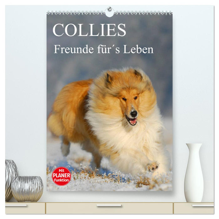 Collies - Freunde für´s Leben (CALVENDO Premium Wandkalender 2025)