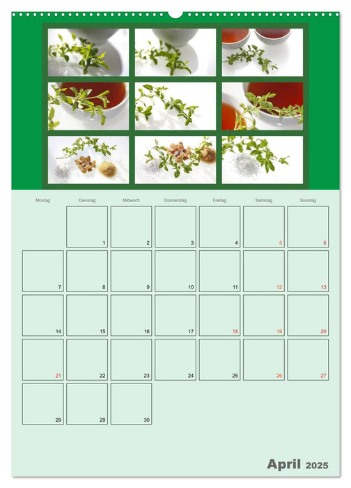 Food (CALVENDO Premium Wandkalender 2025)