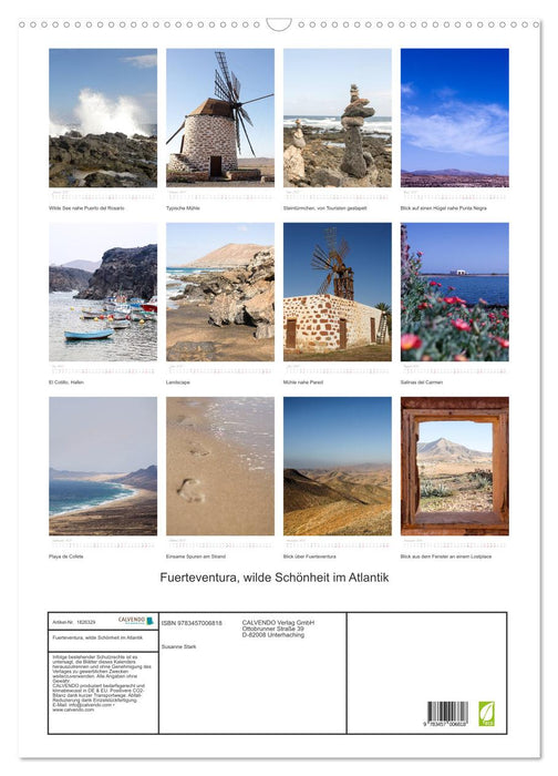 Fuerteventura, wilde Schönheit im Atlantik (CALVENDO Wandkalender 2025)