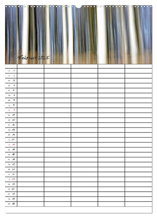 Mein Buchenwald - Familienplaner (CALVENDO Premium Wandkalender 2025)