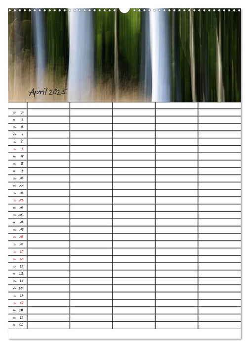 Mein Buchenwald - Familienplaner (CALVENDO Premium Wandkalender 2025)