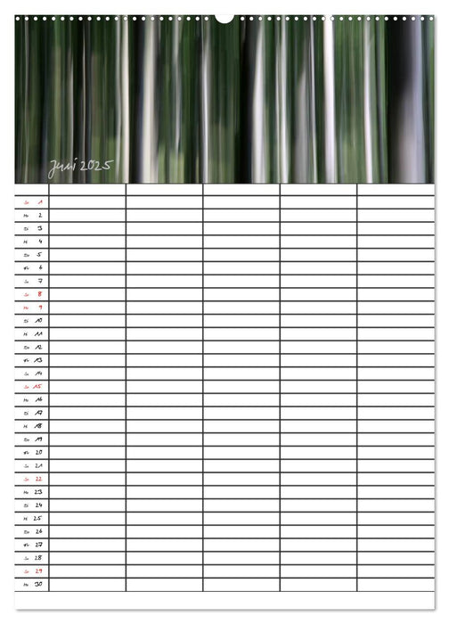 Mein Buchenwald - Familienplaner (CALVENDO Premium Wandkalender 2025)