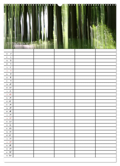 Mein Buchenwald - Familienplaner (CALVENDO Premium Wandkalender 2025)