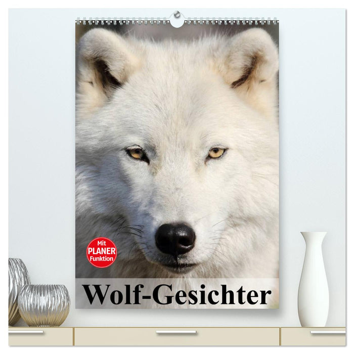 Wolf-Gesichter (CALVENDO Premium Wandkalender 2025)