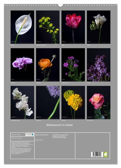 Blütenpracht im Detail (CALVENDO Wandkalender 2025)