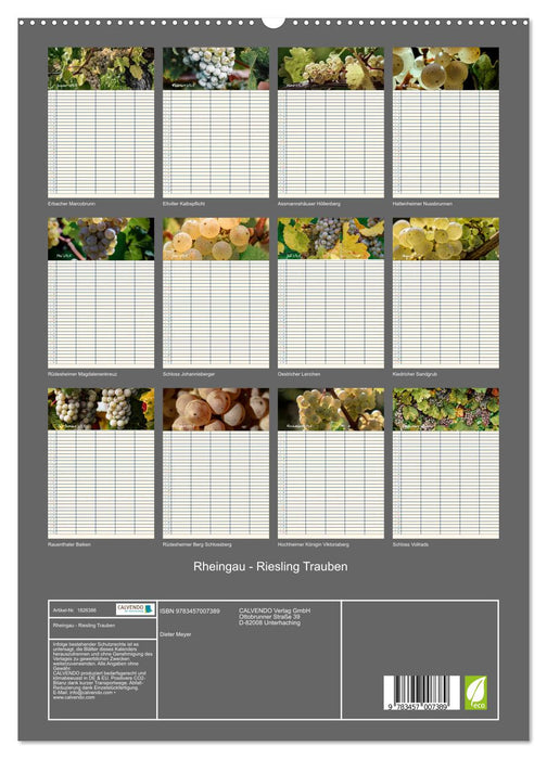 Rheingau - Riesling Trauben (CALVENDO Premium Wandkalender 2025)