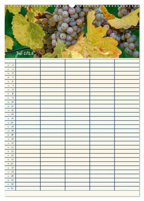 Rheingau - Riesling Trauben (CALVENDO Premium Wandkalender 2025)