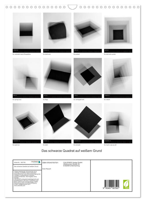 Das schwarze Quadrat auf weißem Grund (CALVENDO Wandkalender 2025)