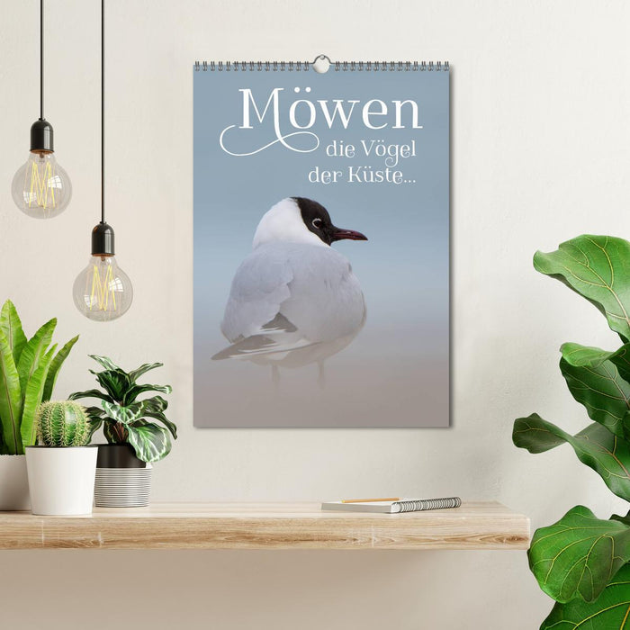 Möwen - die Vögel der Küste (CALVENDO Wandkalender 2025)