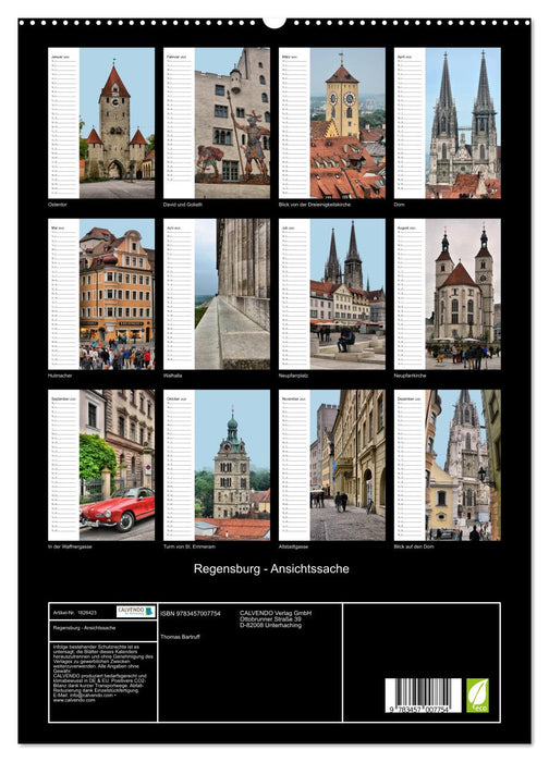 Regensburg - Ansichtssache (CALVENDO Premium Wandkalender 2025)