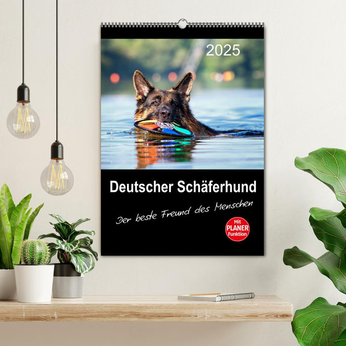 Deutscher Schäferhund - Der beste Freund des Menschen (CALVENDO Wandkalender 2025)