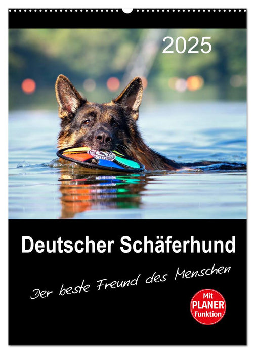 Deutscher Schäferhund - Der beste Freund des Menschen (CALVENDO Wandkalender 2025)