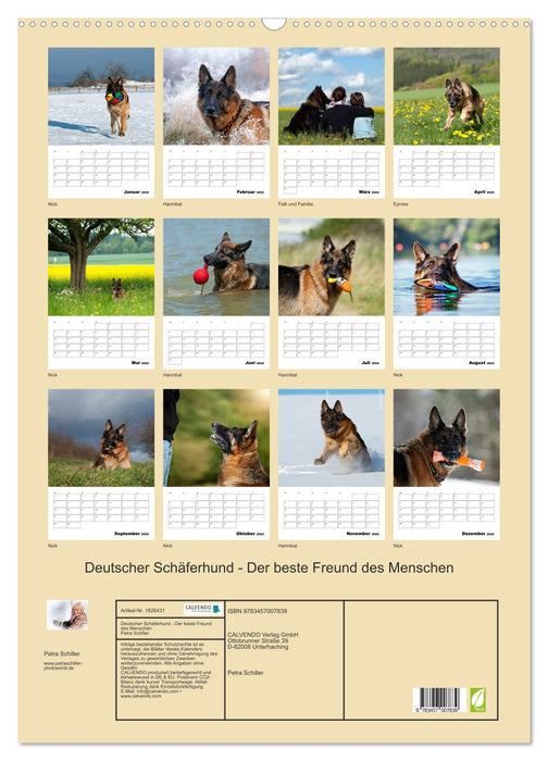 Deutscher Schäferhund - Der beste Freund des Menschen (CALVENDO Wandkalender 2025)