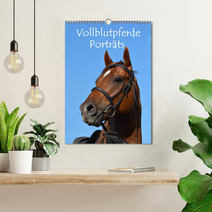 Vollblutpferde Porträts (CALVENDO Wandkalender 2025)