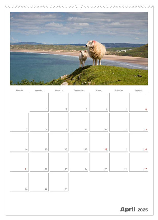 Eine Reise durch Wales (CALVENDO Premium Wandkalender 2025)