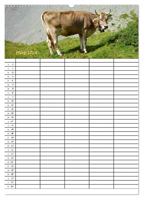 Bauernhoftiere Familienplaner (CALVENDO Premium Wandkalender 2025)
