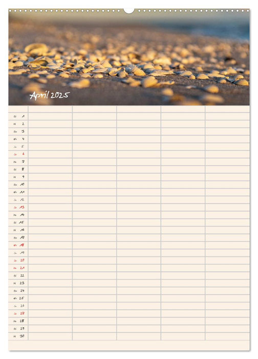 Am Meeressaum der Ostsee (CALVENDO Premium Wandkalender 2025)