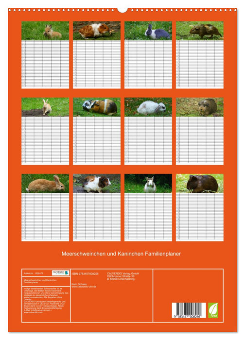 Meerschweinchen und Kaninchen Familienplaner (CALVENDO Premium Wandkalender 2025)