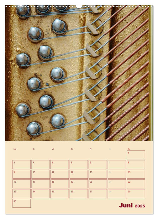 Musik (CALVENDO Premium Wandkalender 2025)