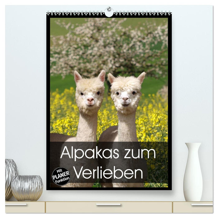 Alpakas zum Verlieben (CALVENDO Premium Wandkalender 2025)