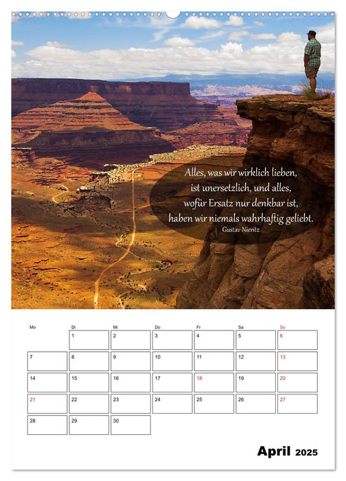 USA - Rotes Land und Baumgeflüster (CALVENDO Premium Wandkalender 2025)